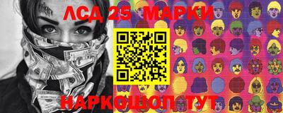 шишки Кингисепп