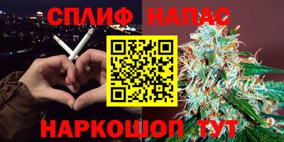 шишки Кингисепп