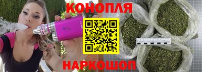 гашик Кимры