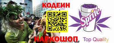 шишки Кингисепп