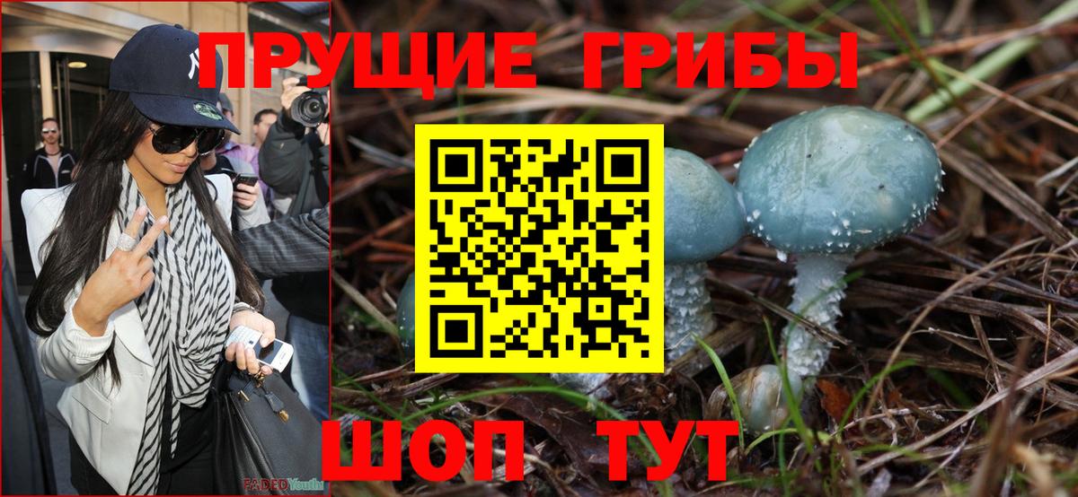 Псилоцибиновые грибы Psilocybe Кыштым